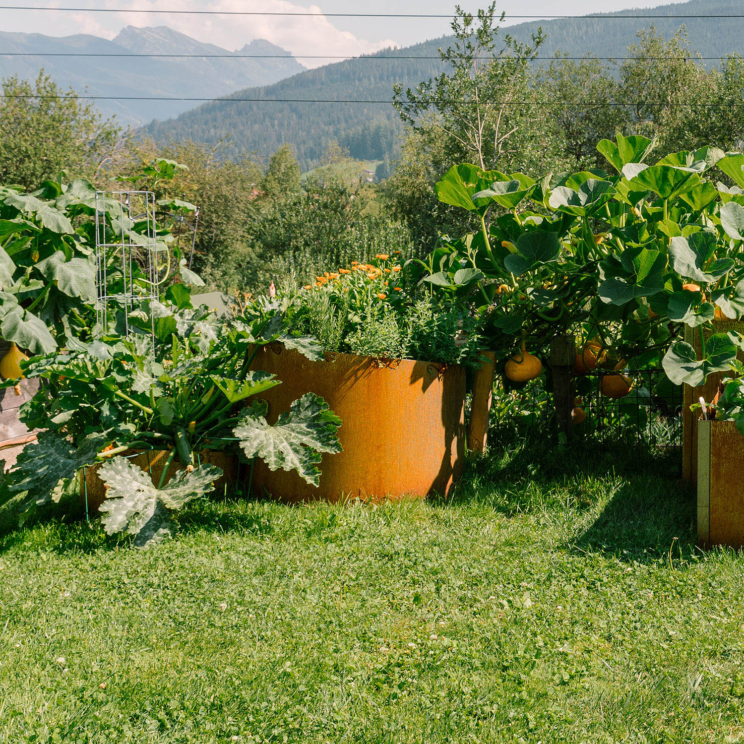 Corten raised bed